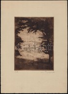 Bajor Ágost (1892-1958): Kilátás. Rézkarc, Papír, Jelzett, 20×15 Cm - Altri & Non Classificati