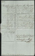 1831 Vöröskői Gróf Pálffy Fidél (1788-1864) Tárnokmester, Főkancellár, árva Megyei Főispán Saját Kézzel Aláírt Levele Hi - Unclassified