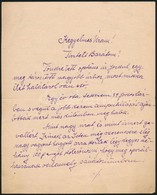 1937 Báró Thoroczkay Viktor Nyugalmazott Főispán Saját Kézzel írt, Pénzkölcsönt Kérő Levele Kegyelmes Uram Megszólítássa - Unclassified