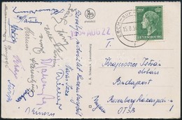 1954 A Vasas Izzó Lbdarúgóinak Aláírásai Levelezőlapon: Bárfy, Bukov, Zele, Stb. - Altri & Non Classificati