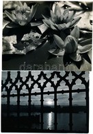 Dulovits Jenő (1903-1972) Budapesti Fotóművész Hagyatékából 2 Db Vintage Fotó, Az Egyik Aláírt, A Másik Pecséttel Jelzet - Other & Unclassified