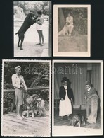 Kutyák, 4 Db Fotó, 9×6 és 13×8,5 Cm - Other & Unclassified