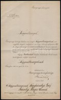 1880 Pozsonyvármegye Alispánjának Köszönő Levele Gróf Károlyi Lajosnak, A Lakosság Megsegélyezésére Adott Adományáért - Non Classés