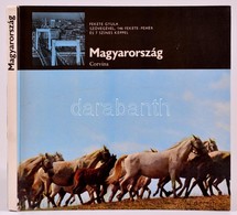 Magyarország. Fekete Gyula Szövegével, 146 Fekete-fehér és 7 Színes Képpel. Bp., 1972, Corvina. Kiadói Kartonált Kötés,  - Ohne Zuordnung