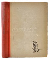 Fekete István: Bogáncs. Cselényi József Rajzaival.  Bp., 1957, Ifjúsági. Első Kiadás. Kiadói Kopott Félvászon-kötés. - Non Classificati