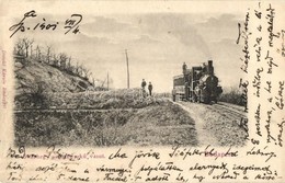 * T3 1901 Budapest XII. Svábhegy, Fogaskerekű Megállóhely Vonattal. Divald Károly (r) - Unclassified