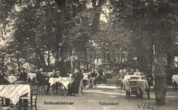 T2/T3 1906 Székesfehérvár, Tulipánkert Vendéglő Kerthelyisége. Eiser Adolf Kiadása 897. (r) - Ohne Zuordnung