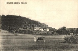 T2 1910 Acsuca, Ácsfalva, Aciuta; Hollaky Kastély, Legelésző Tehén / Castle With Grazing Cow - Unclassified