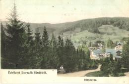 T4 1908 Borszék, Borsec; Bükkhavas / Mountain Peak (vágott / Cut) - Ohne Zuordnung