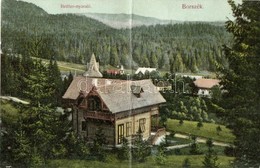 ** T4 Borszék, Borsec; Reitter Nyaraló / Villa (fa) - Unclassified