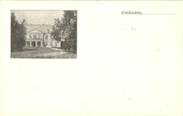 ** T1/T2 Erdőszáda, Ardusat; Dégenfeld Kastély / Castle - Non Classificati