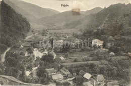 * T2/T3 1915 Pojén, Poiana; Látkép / General View (EK) - Ohne Zuordnung