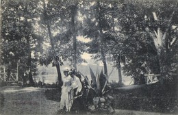 T2 1907 Püspökfürdő, Szentlászlófürdő, Baile 1 Mai (Nagyvárad); Park. Rákos Vilmos Kiadása  / Park - Non Classificati
