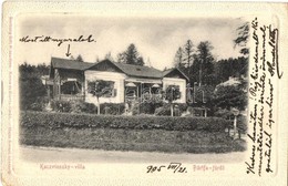 T2 1905 Bártfa, Bártfafürdő, Bardejovské Kúpele, Bardejov; Kaczvinszky Villa. Kiadja Eschwig Ede F. Hajts Kornél Felvéte - Non Classés