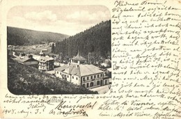 T3 1908 Iglófüred, Spisská Nová Ves Kupele, Novovesské Kúpele; (fa) - Ohne Zuordnung