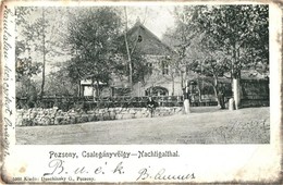 T3 1902 Pozsony, Pressburg, Bratislava; Csalogányvölgy. Kiadja Duschinsky G. 5360. / Nachtigalthal / Slávicie údolie / S - Unclassified
