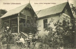 T2 1914 Beregszász, Berehove; Lőrinclak, Szalay Lőrinc Beregszászi Borháza, Szőlőskert, Szőlészet. Kiadja Ignáczy Géza F - Sin Clasificación