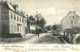 T2/T3 1909 Delnice, Delnicah; Utcakép Ivan Premer üzletével / Street View With Shop - Ohne Zuordnung