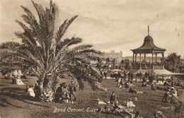 T2 1913 Adelaide, Elder Park, Band Concert - Unclassified