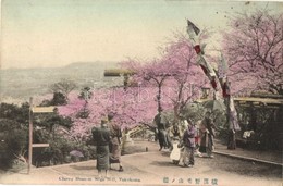 ** T2/T3 Yokohama, Cherry Blossom From Noge Hill, Japanese Folklore (EK) - Ohne Zuordnung