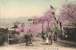 ** T2/T3 Yokohama, Cherry Blossom From Noge Hill, Japanese Folklore (EK) - Unclassified