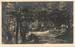 T2/T3 Friedberg, Bärengraben / Forest Path (EK) - Ohne Zuordnung