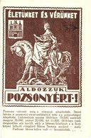 ** T2/T3 Pozsony, Pressburg, Bratislava; Életünket és Vérünket áldozzuk Pozsonyért! Irredenta Képeslap A Lerombolt Mária - Non Classificati