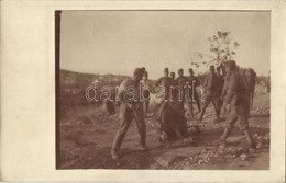 T2/T3 1916 Mikor Lónak Nézett Marhát Vágnak / WWI K.u.k. Military, Soldiers Slaughtering A Cattle. Photo - Unclassified