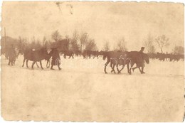 ** T2 1917 Jassionov (Galícia), 34. Gyalogezred Trén Lóvizsga / WWI K.u.K. Military, Horse Exam In Winter. Photo - Sin Clasificación