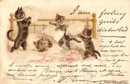 T2/T3 1902 Cats In A Pillow Fight. Raphael Tuck & Sons 'Write Away' Postcard Series 42. Litho (EK) - Sin Clasificación