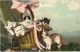 ** T1 Cats In A Basket. Litho - Unclassified