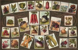 ** T1/T2 Schön & Wertheim Magynagykereskedés Reklám / Hungarian Seed Shop Advertisement, Vegetables - Ohne Zuordnung