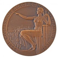 Franciaország 1931. '75 éves Az Európai Duna Bizottság' Br Emlékérem. Szign.: Lucien Bazor (71mm) T:1- 
France 1931. '75 - Zonder Classificatie