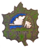 Lengyelország DN 'PTTK' Zománcozott Fém Túrajelvény (20x25mm) T:2
Poland ND 'PTTK' Enamelled Metal Tour Badge (20x25mm)  - Ohne Zuordnung