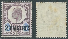 1905-08 BRITISH LEVANT TURKISH CURRENCY SG 14 2pi ON 5d MNH ** - F23-9 - British Levant