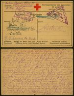 Russia WWI 1917 POW Rare Postcard Postal Stationery Irkutsk To Austria - Censor DB.478 - Cartas & Documentos