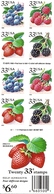 UNITED STATES (USA), 1999, Booklet 276A2, 20x33c, Fruit Berries, 2-sides Booklet - 1981-...