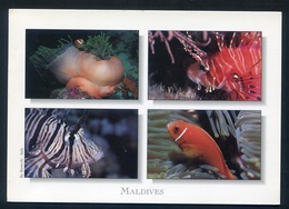 MALDIVES  - Clownfish & Scorpionfish. Postmark AIRPORT OFFICE On Flower Stamp - Maldivas