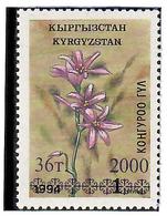 Kyrgyzstan.Overprint ,,36t. 2000,, On Flower 1t Of 1994. Purple Overprint. Michel # 207a - Kirgisistan