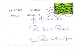 FRANCE. N° A741 De 2012 Sur Enveloppe Ayant Circulé. Piments. - Groenten