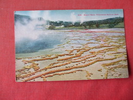 The Sponge Upper Geyser Basin  Yellowstone National Park     -    Ref 3164 - Autres & Non Classés