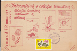 CONSTANTA PHILATELIC EXHIBITION, FLOWERS, FISH, TURTLE, SPECIAL POSTCARD, 1965, ROMANIA - Covers & Documents