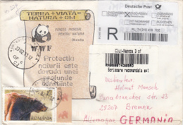 BEAR, ACTRESS, UNITED NATIONS, ICON, POTTERY, STAMPS ON WWF REGISTERED SPECIAL COVER, 2011, ROMANIA - Cartas & Documentos