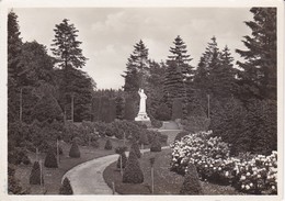 AK Hamburg - Friedhof Ohlsdorf (39485) - Nord