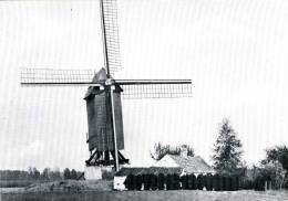 ZINGEM (O.Vl.) - Molen/moulin/mill - Zwart-wit Kaart Van Meuleken 't Dal Na De Restauratie Van 1968 - Zingem