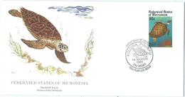 Enveloppe 1er Jour Micronesie FDC Tortue 1991 - Micronesia