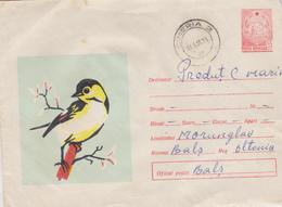 COVER ROMANIA 1967 BIRDS, CACNEL SIMERIA TO BALS, WITH FIXED MARK COAT OF ARMS, TIRAJ LIMITED ROMANIA 1967 - Briefe U. Dokumente