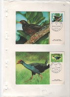 Nouvelle-Calédonie > 2 Cartes-maximum N° 510 & N+511- OISEAUX - Cartoline Maximum