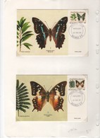 Nouvelle-Calédonie > 2 Cartes-maximum N° 523 & N 534-PAPILLONS - Maximum Cards