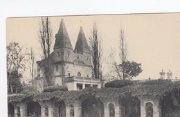 Cp , 28 , ANET , Le Château , La Chapelle Et Les Fouilles - Anet